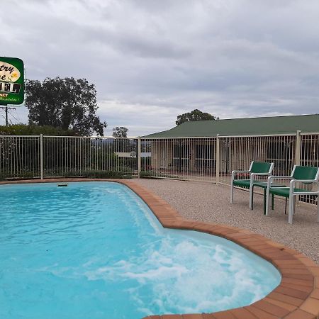 Country Rose Motel Warwick Exteriér fotografie