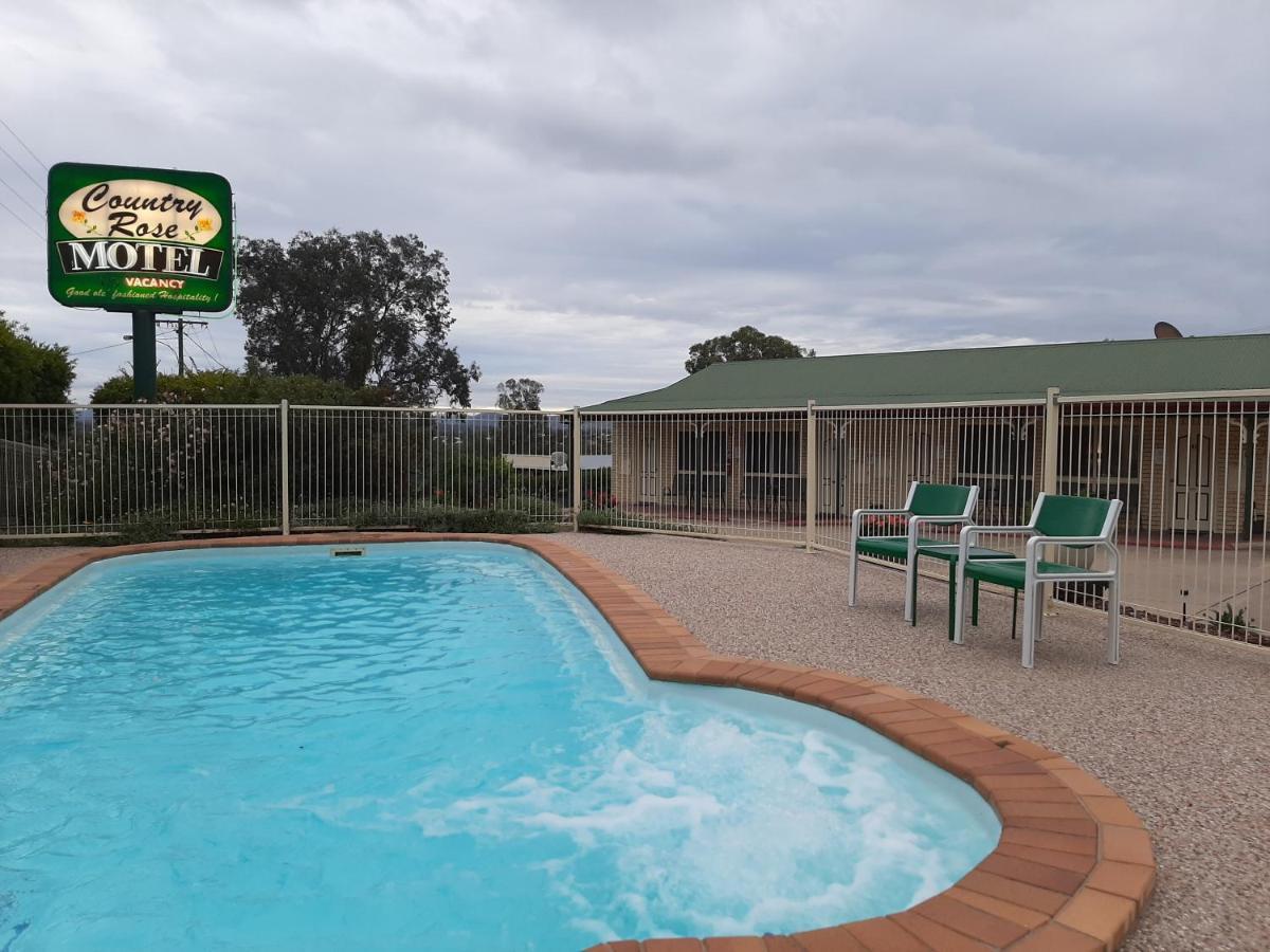 Country Rose Motel Warwick Exteriér fotografie